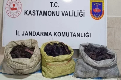 Kastamonu’da kablo çalan iki hırsız, jandarma ekiplerince yakalandı