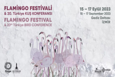 İzmir, Flamingo Festivali için gün sayıyor