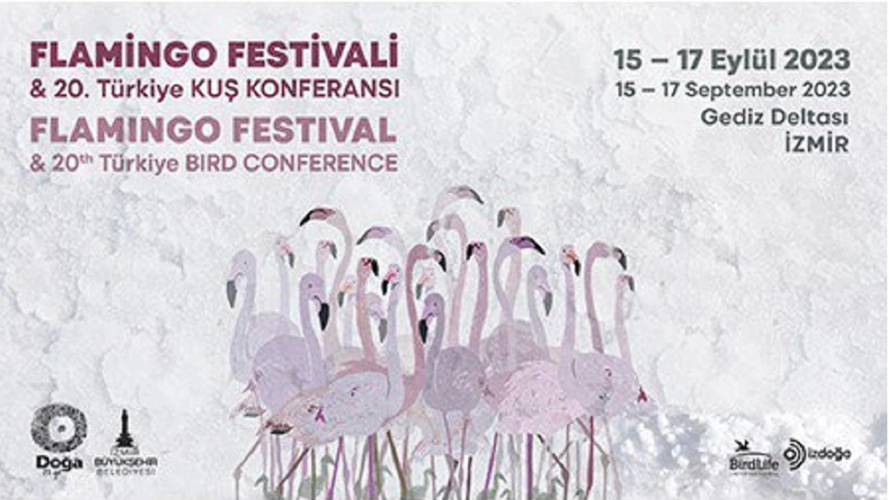 flamingo fest