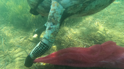 Bodrum'da deniz dibi temizliği son buldu