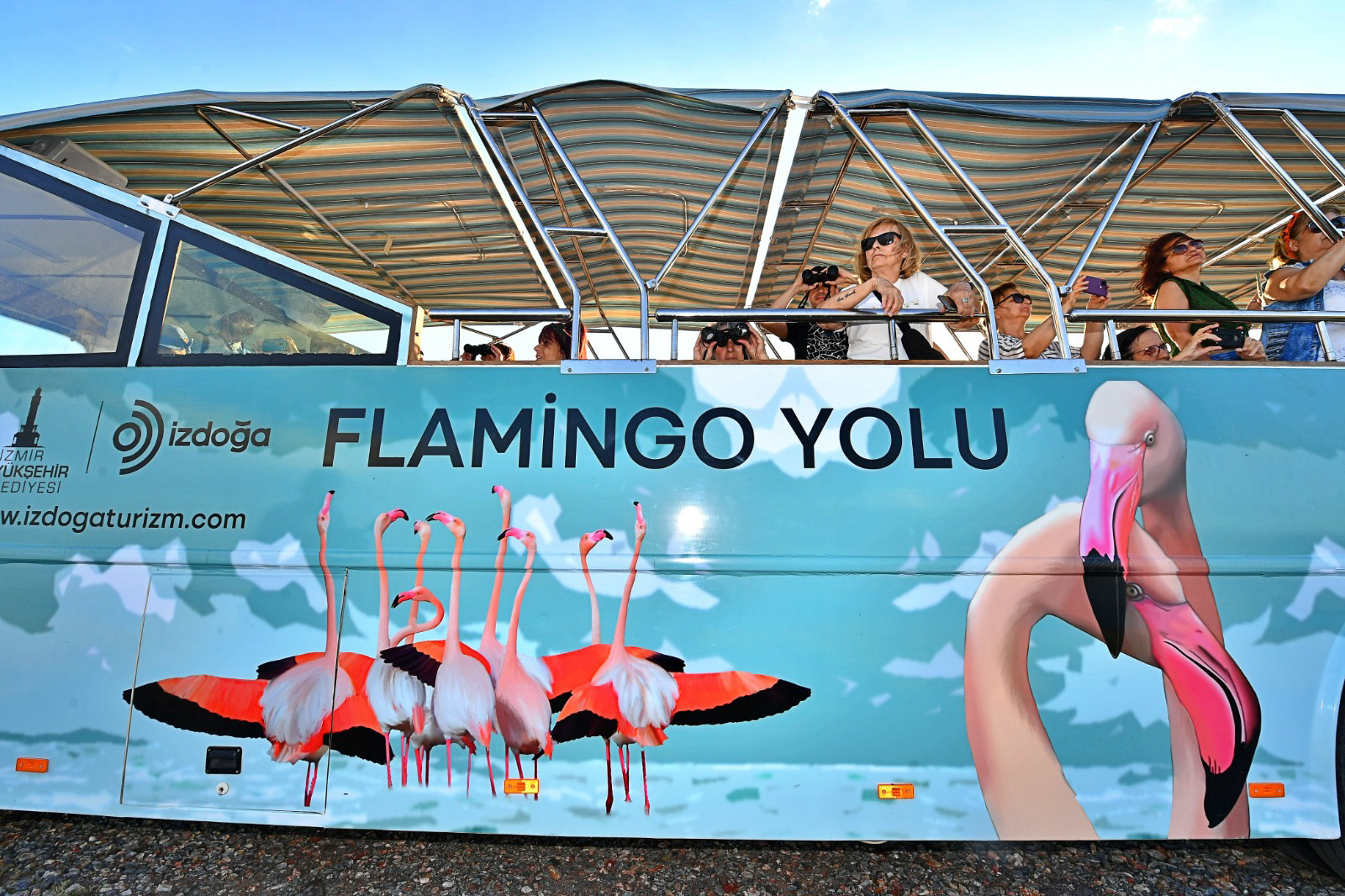 Flamingo Festivali26 (1)