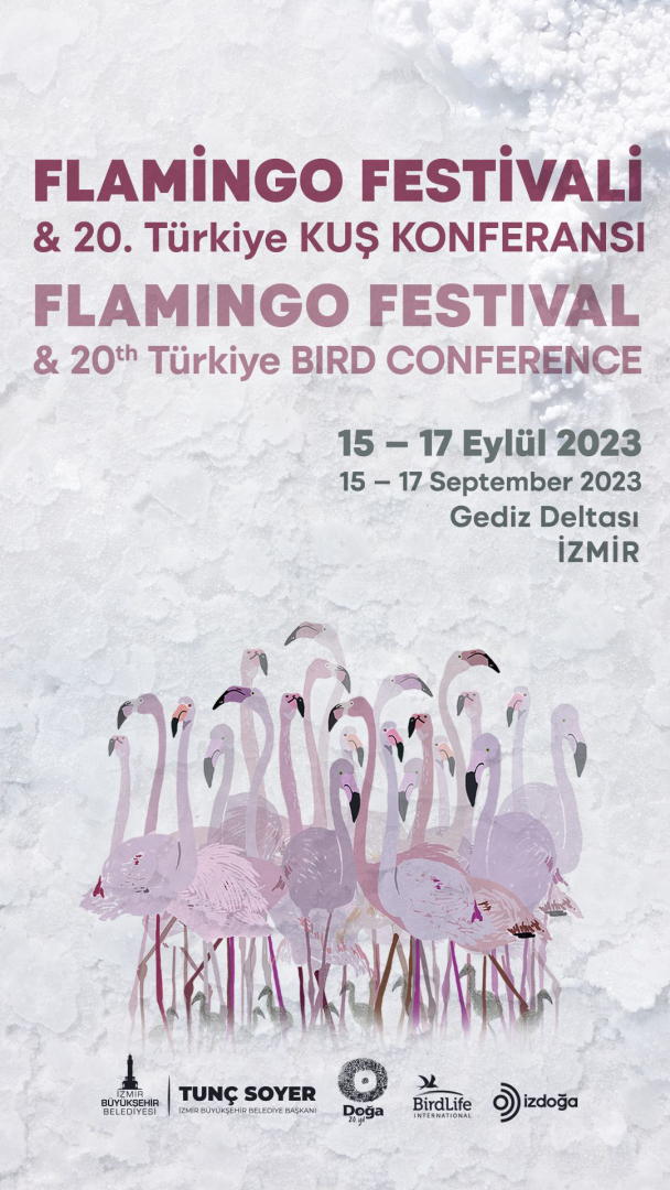 Flamingo Festivali26 (5)