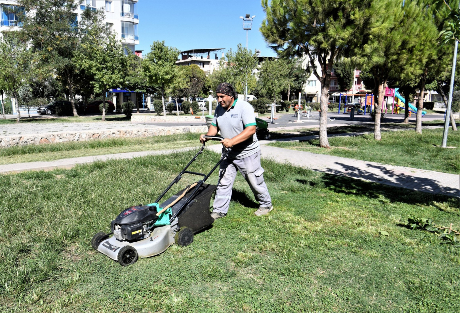 çiçek ve saksı (3)