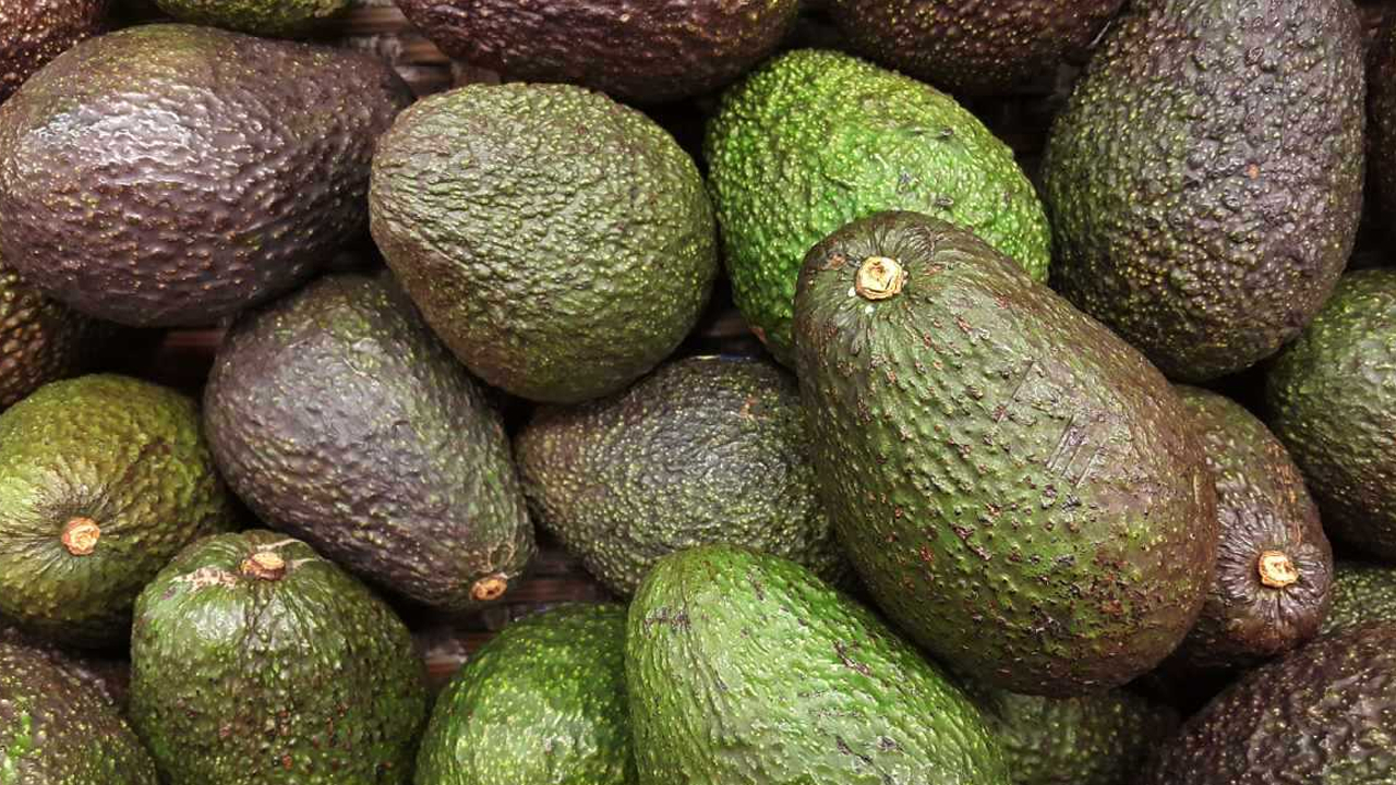 avokado