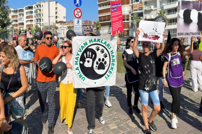 Hayvanseverler alana indi: Gündoğdu’da ‘can dostlar’ mitingi!