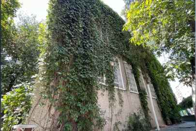 Eskişehir’de sarmaşıklı cami doğal güzelliğiyle ön planda