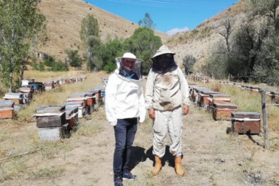 Bayburt’ta arılı kovan destekleme çalışması