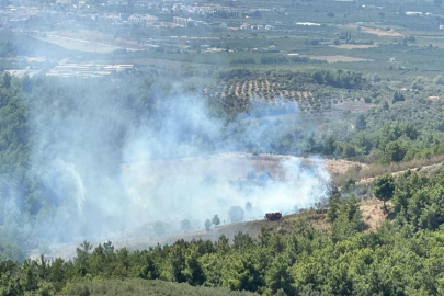 Kuşadası’nda orman yangını