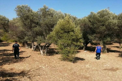 İzmir'de Down sendromlu genç aranıyor