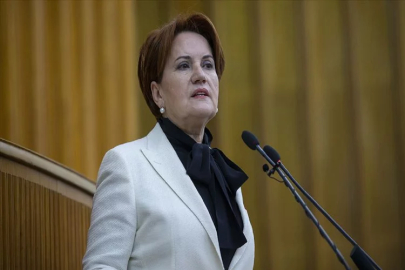 İYİ Parti Genel Başkanı Akşener, Anayasa Mahkemesine başvurdu