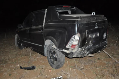 Tekirdağ’da feci kaza: Domuz sürüsü kazaya sebep oldu