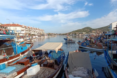 Foça’da turizme denizanası darbesi