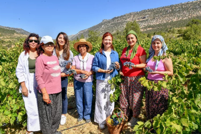 Mersin'de 'patkara bağ bozumu' etkinliği