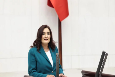 Sevda Erdan Kılıç: 1982 Askeri vesayetine de hayır, 2023 Saray vesayetine de hayır