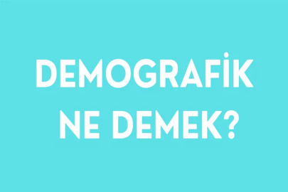 Demografik ne demek? Demografik kelimesi nerelerde kullanılır?