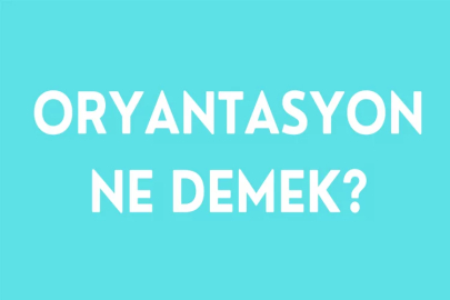 Oryantasyon ne demek? Oryantasyon eğitimi nedir? İşte oryantasyon hakkında merak edilenler!