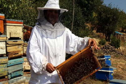 Önce eğitim sonra kredi aldı, arıcı oldu