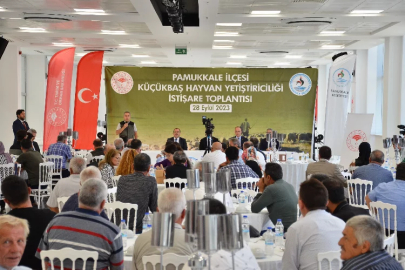 Denizli'de gündem küçükbaş hayvanların sorunları