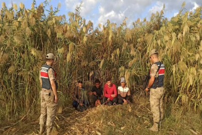 Kilis’te düzensiz göçmenler yakalandı