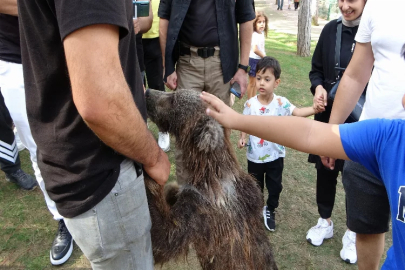 İstanbul'da yavru ayı Liva banyo yaptı, vatandaşlar yoğun ilgi gösterdi