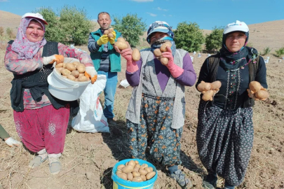 Afyonkarahisar’da 'agria' cinsi patateste hasat zamanı