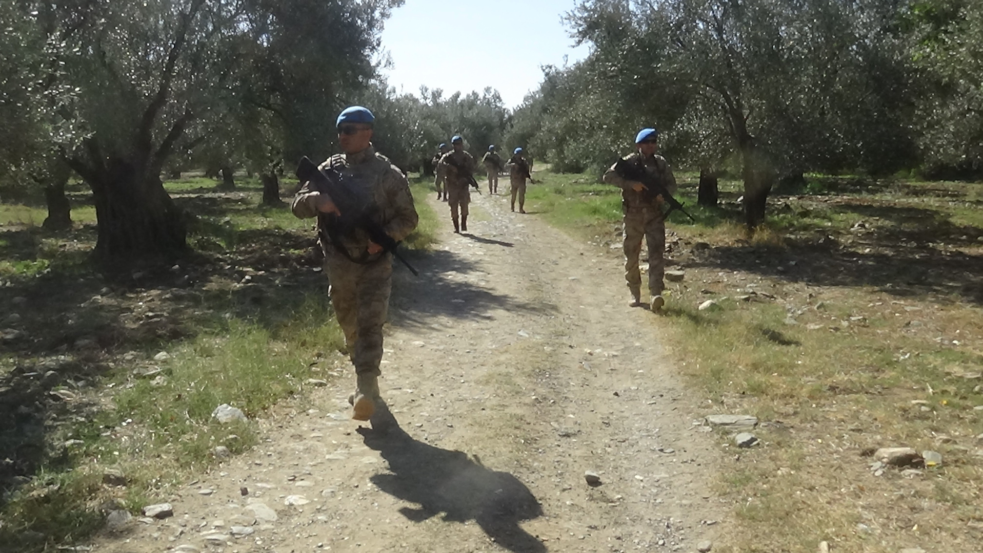 Zeytin bahçeleri jandarma (4)