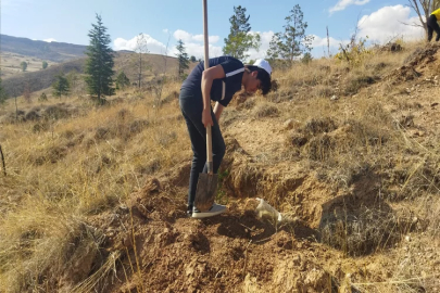 Kayseri'nin ilçeleri binlerce fidan ile buluşacak