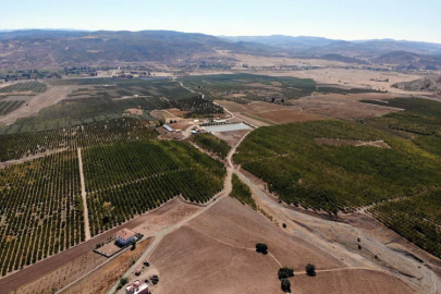 Yozgat'ta meyve bahçesi ile işsizlik sorunu çözüldü