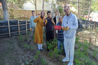 Bilecik’te bahçe hasadı başladı