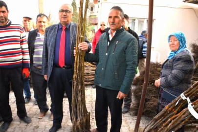 Denizli'de ceviz üretimi için fidan desteği verilecek