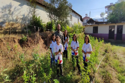 Manisa'da okul bahçesinde hasat vakti