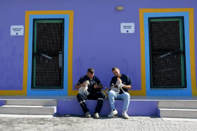 Kuşadası'nda sokak hayvanları sevgi ile iyileşiyor