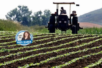 Üretimde dibe yaklaşıyoruz: 3,5 milyon hektar tarım arazisi ekilmiyor