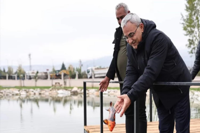 Kütahya’da Koi balığı göle bırakıldı  