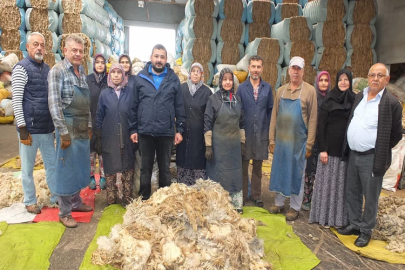 Balıkesir kuzusunun eti marka, yünü ise döviz oldu