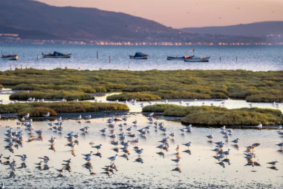 İzmir ve Lubliyana'dan kuraklığa karşı güç birliği