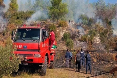 Muğla’da makilik alanda yangın çıktı