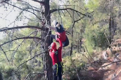 Muğla'da yabancı uyruklu paraşütçü ağaçta asılı kaldı