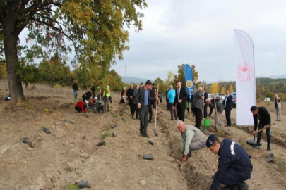 Kütahya’da fidan dikim etkinliği