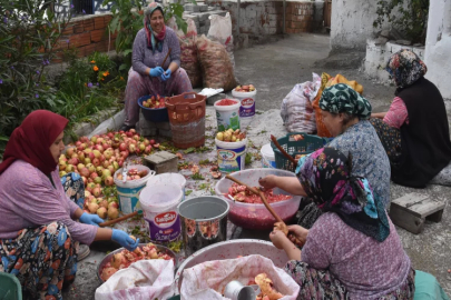 Bin bir emekle sofralara ulaşıyor! Aliağa'da nar ekşisi hasadı