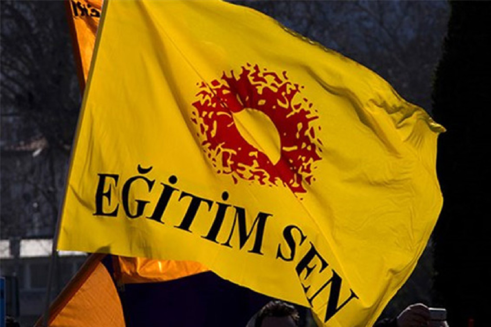 EĞİTİM 1