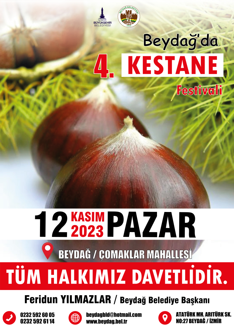 kestane festivali coşkusu (2)