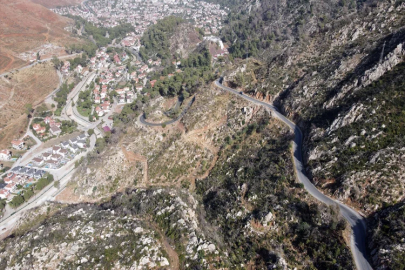 Muğla'da yanan ormanlar yeniden yeşeriyor