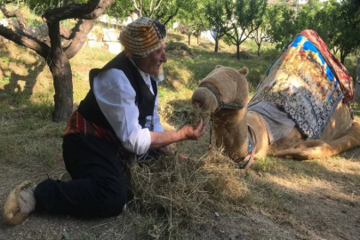 Geleneksel Deve Oyunu herkesin ilgisini çekiyor