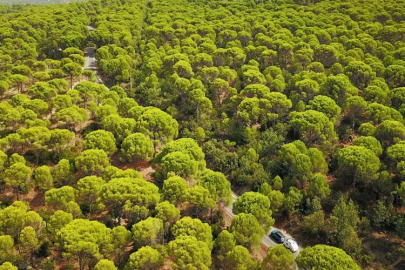 Kuşların göç yolundaydı: Sabancı’ya bakanlıktan jet vize