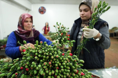 Türkiye'den dünyaya Sevgililer Günü ihracatı