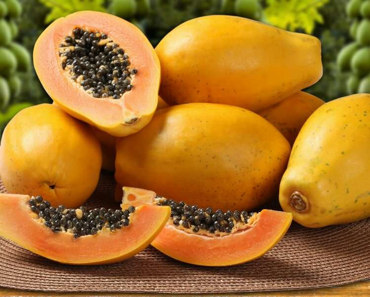 papaya meyvesi nedir