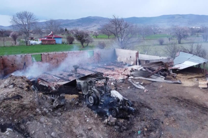 Amasya'da bir çiftlikte yangın: Çok sayıda hayvan telef oldu