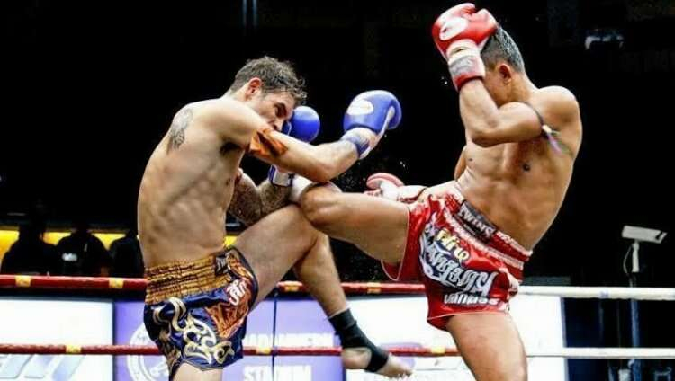 muay thai