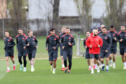 A Milli Futbol Takımı, Avusturya sınavında